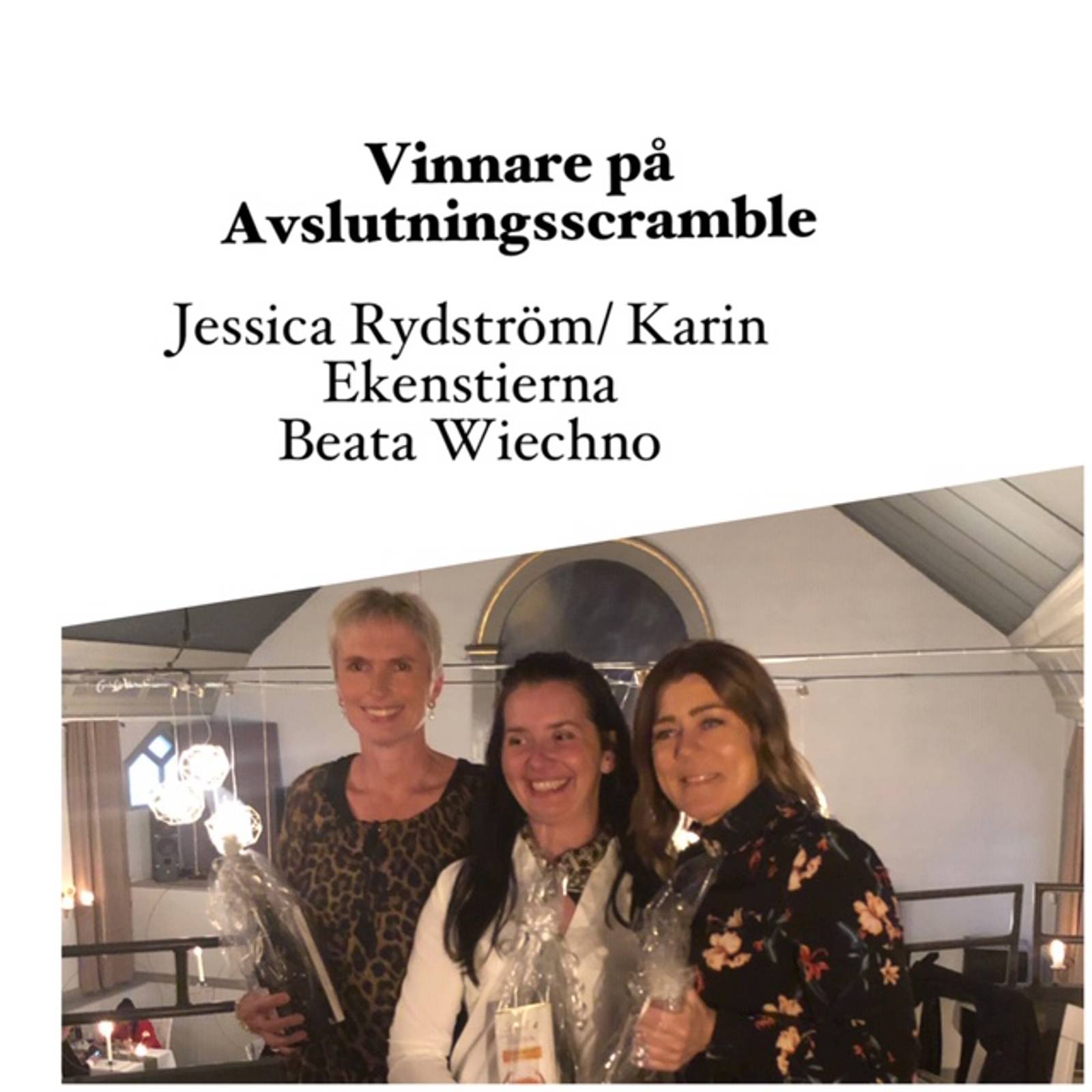 Damerna Bildgalleri.jpg