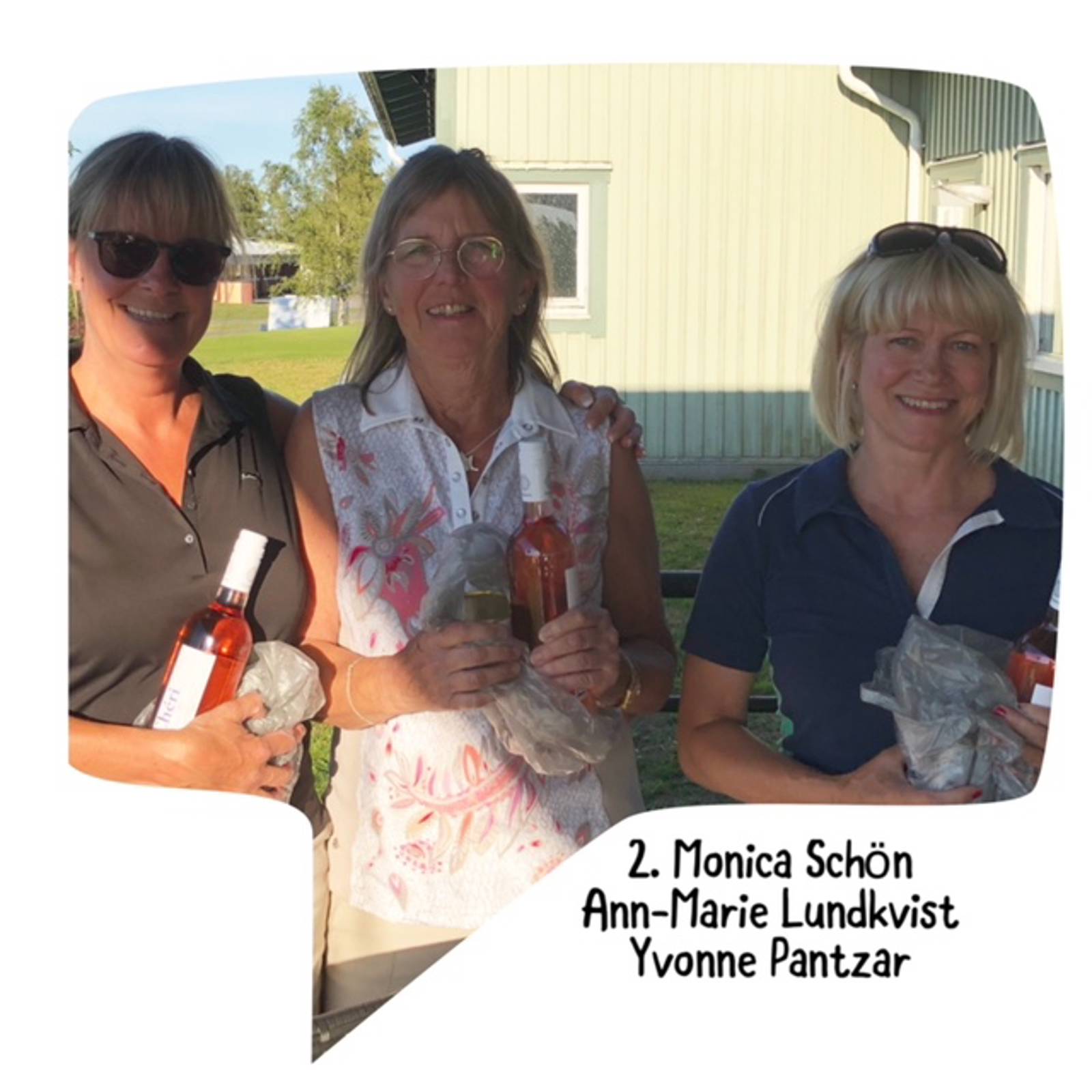 Damerna Bildgalleri 1.jpeg