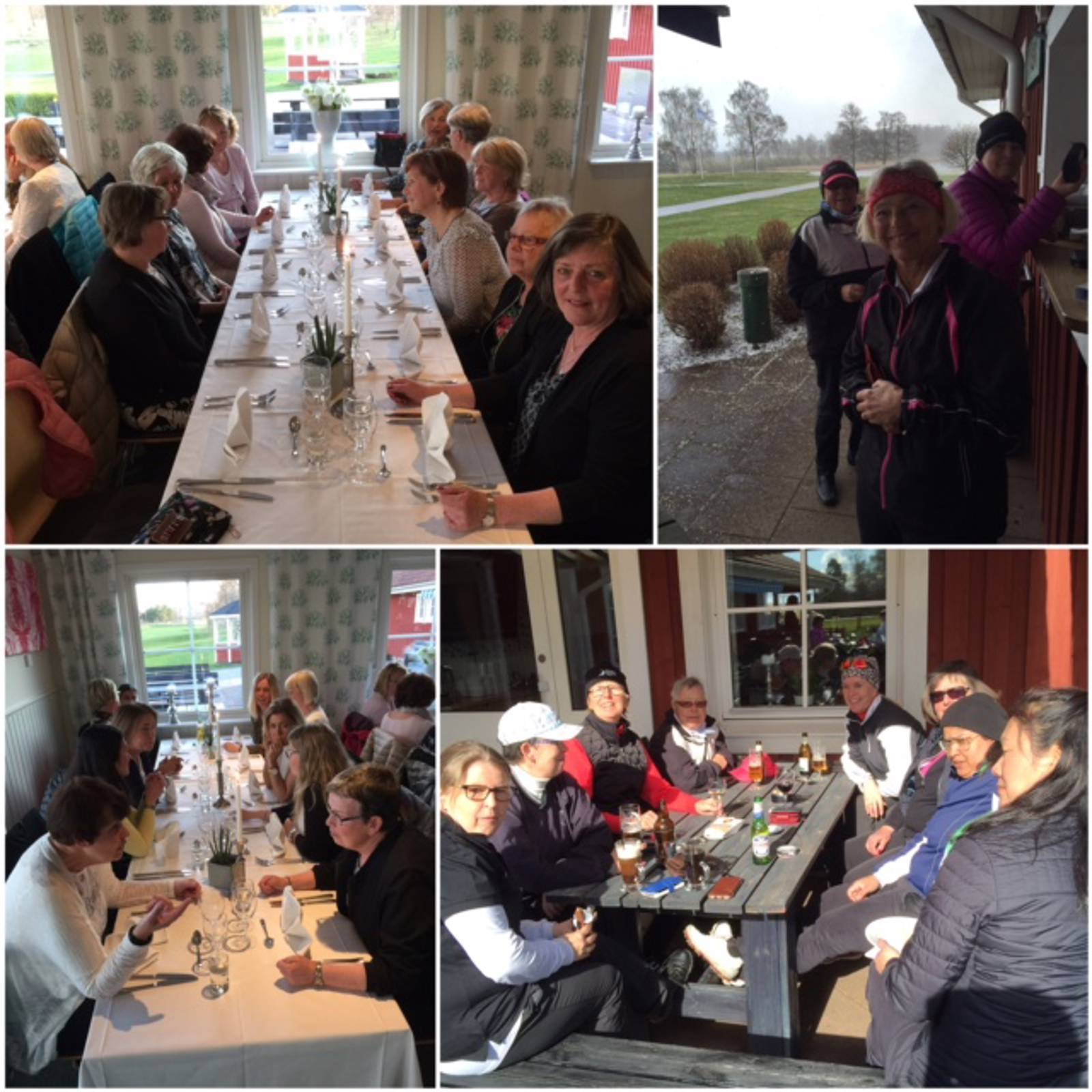 Damerna Bildgalleri (3).jpg