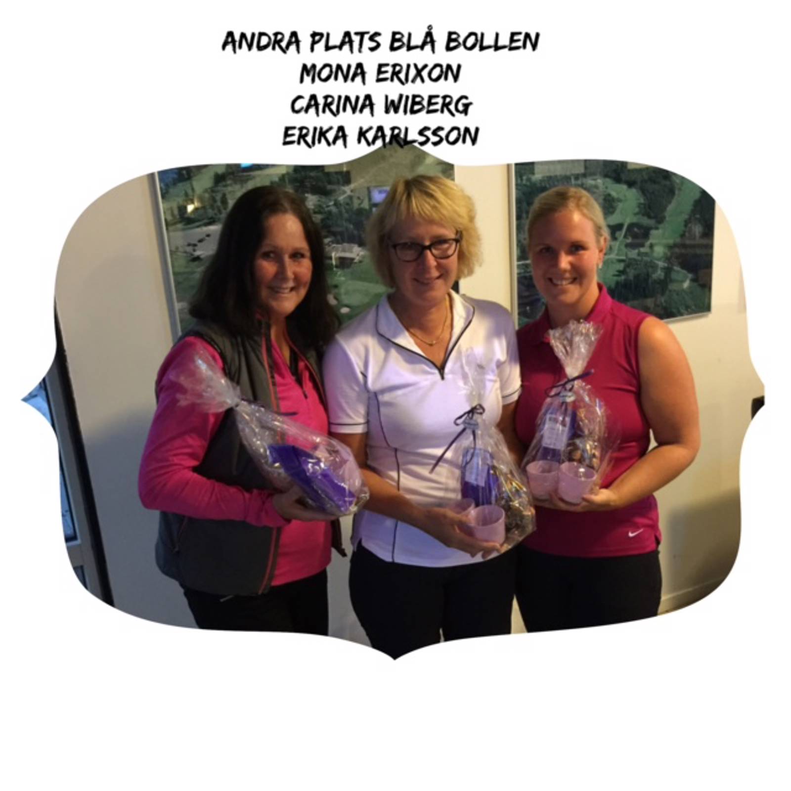 Damerna Bildgalleri 1.jpg