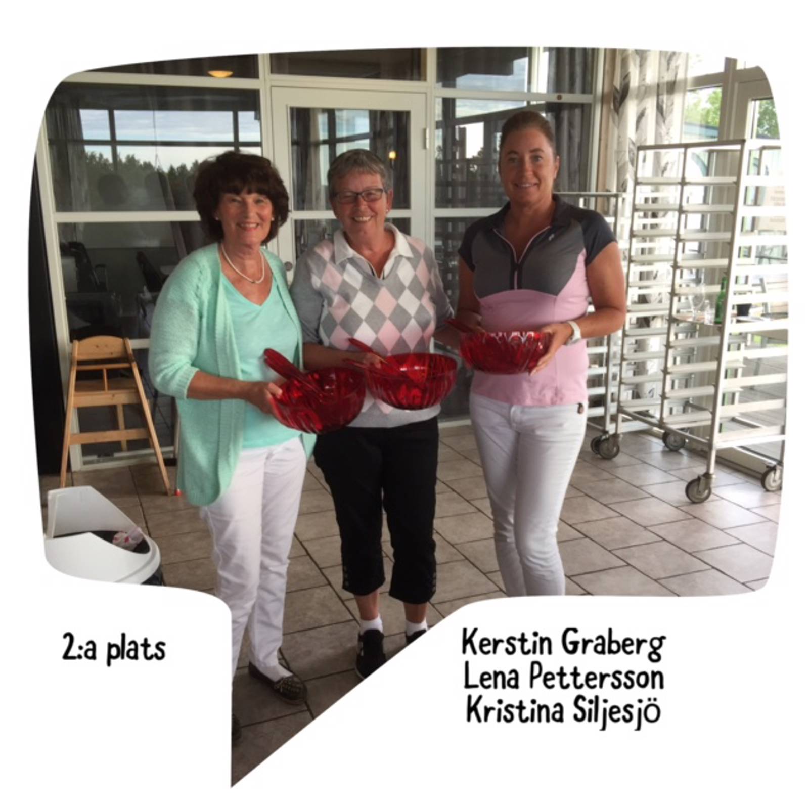 Damerna Bildgalleri.jpg