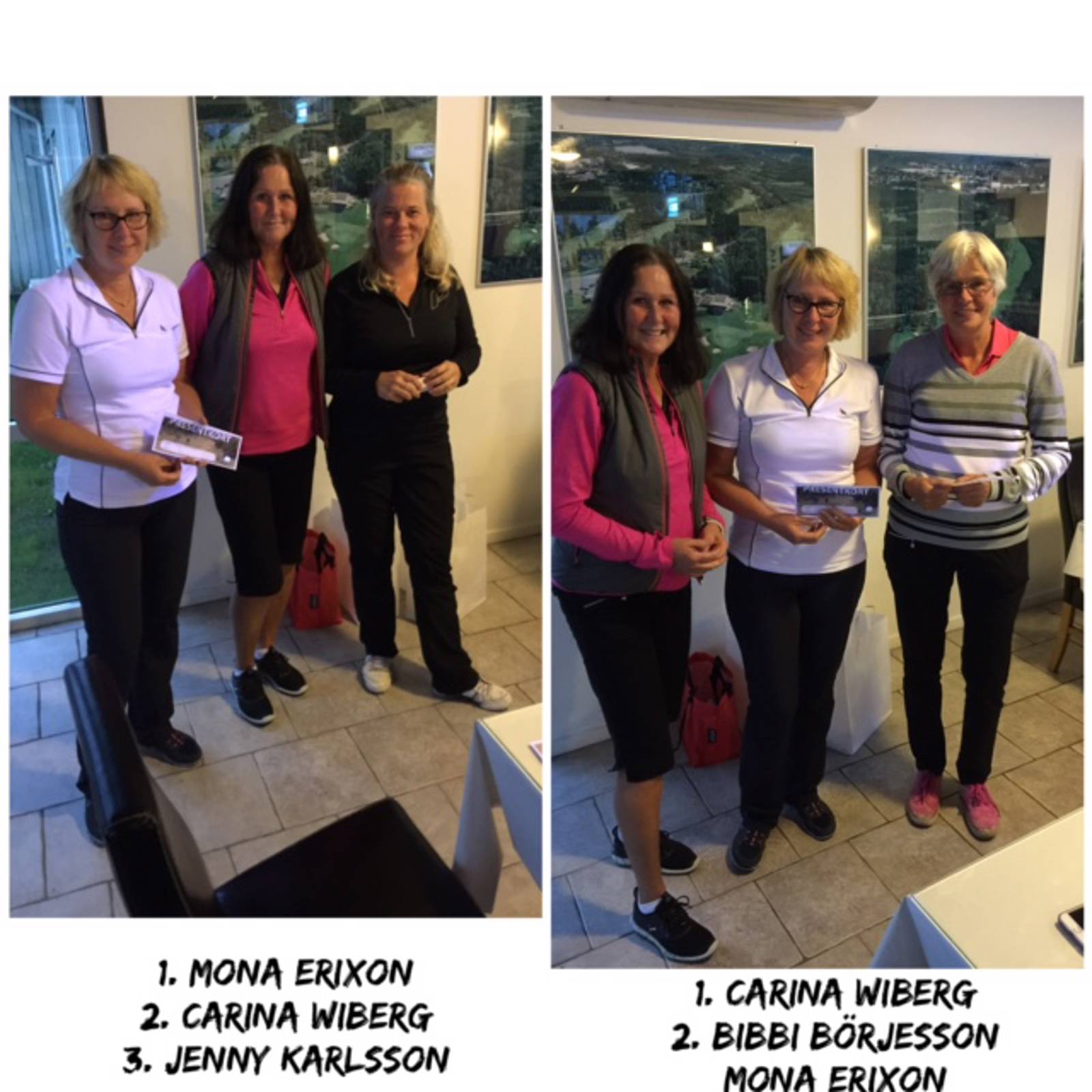 Damerna Bildgalleri 3-2.jpg