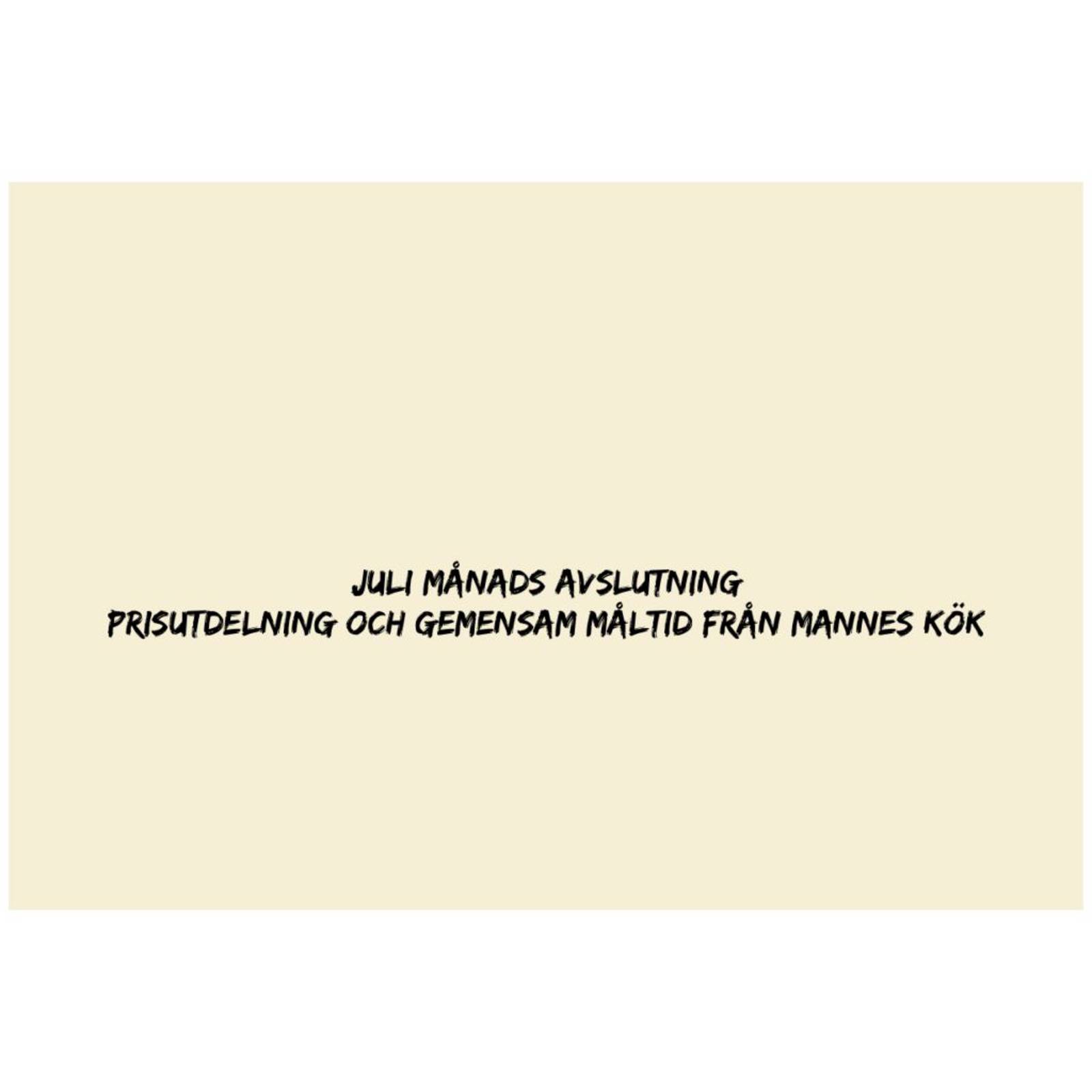 Damerna Bildgalleri (3).jpg