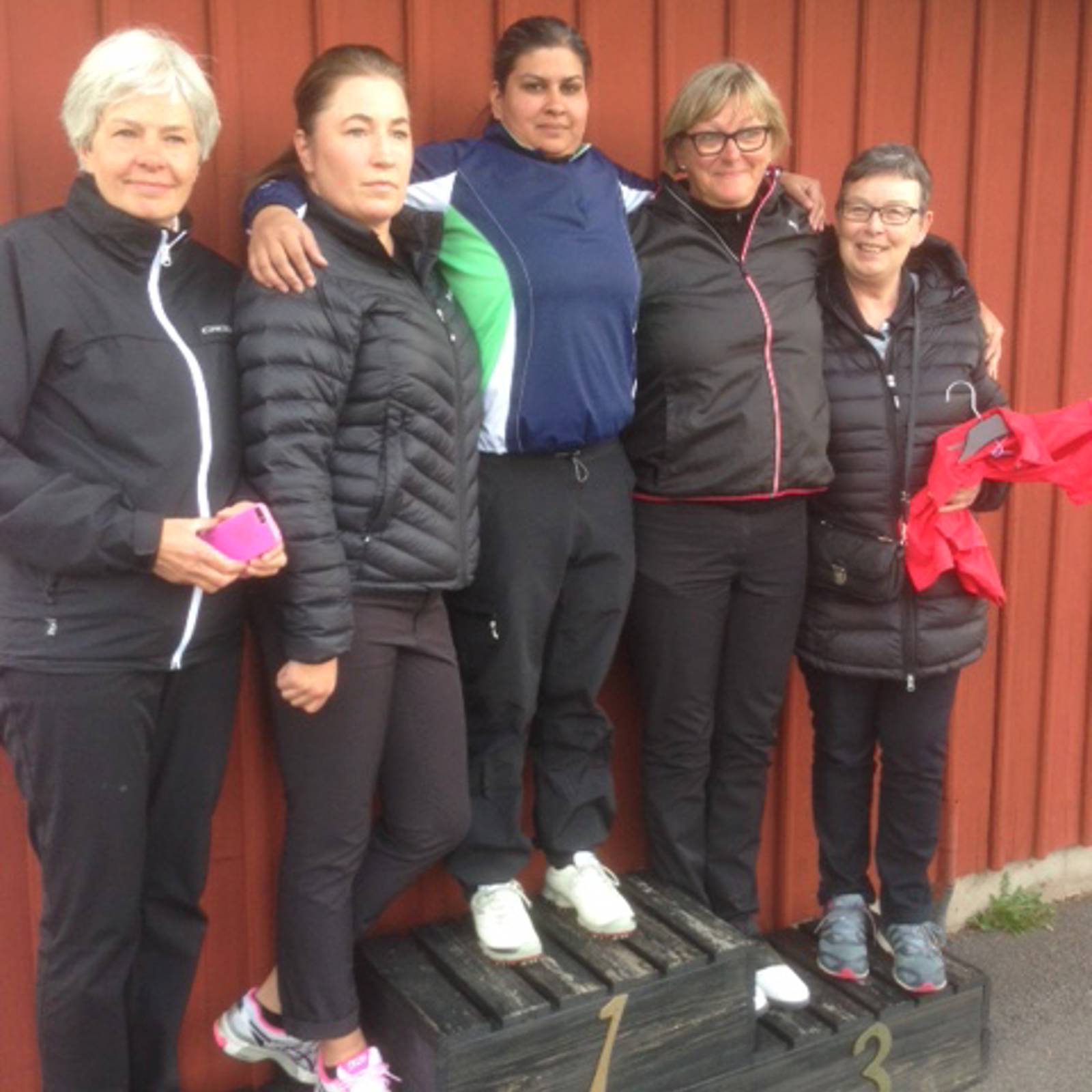 Damerna Bildgalleri.jpg