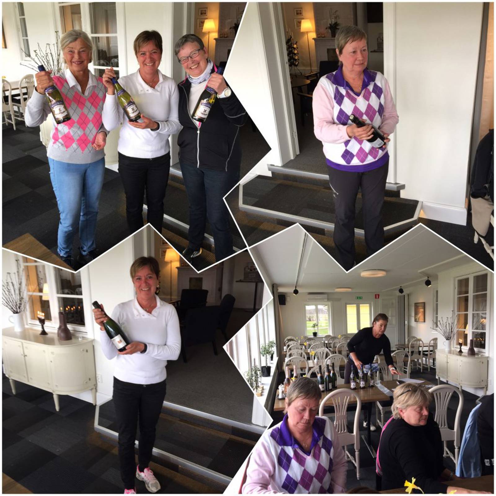 Damerna Bildgalleri (2).jpg