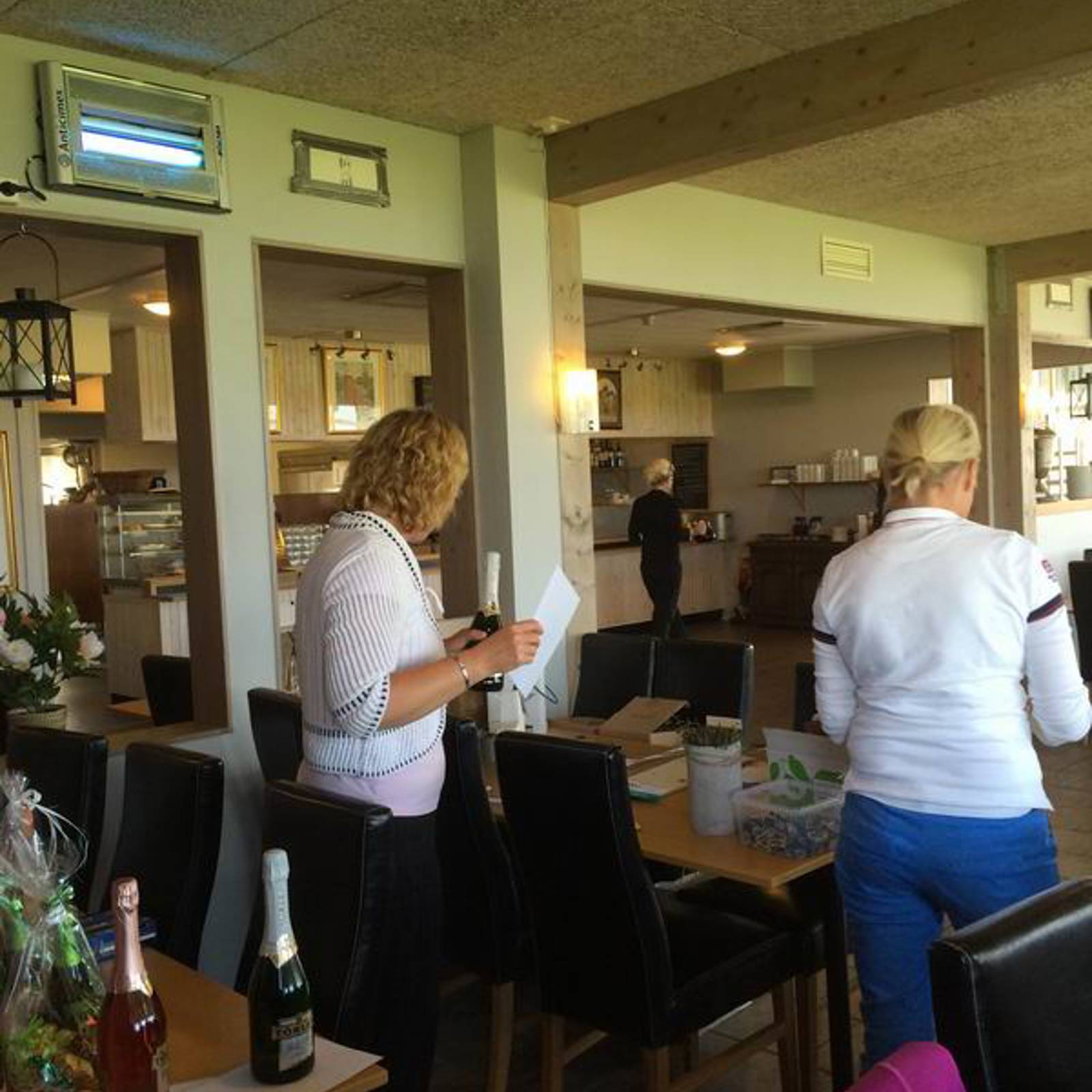 Damerna Bild 11.jpeg