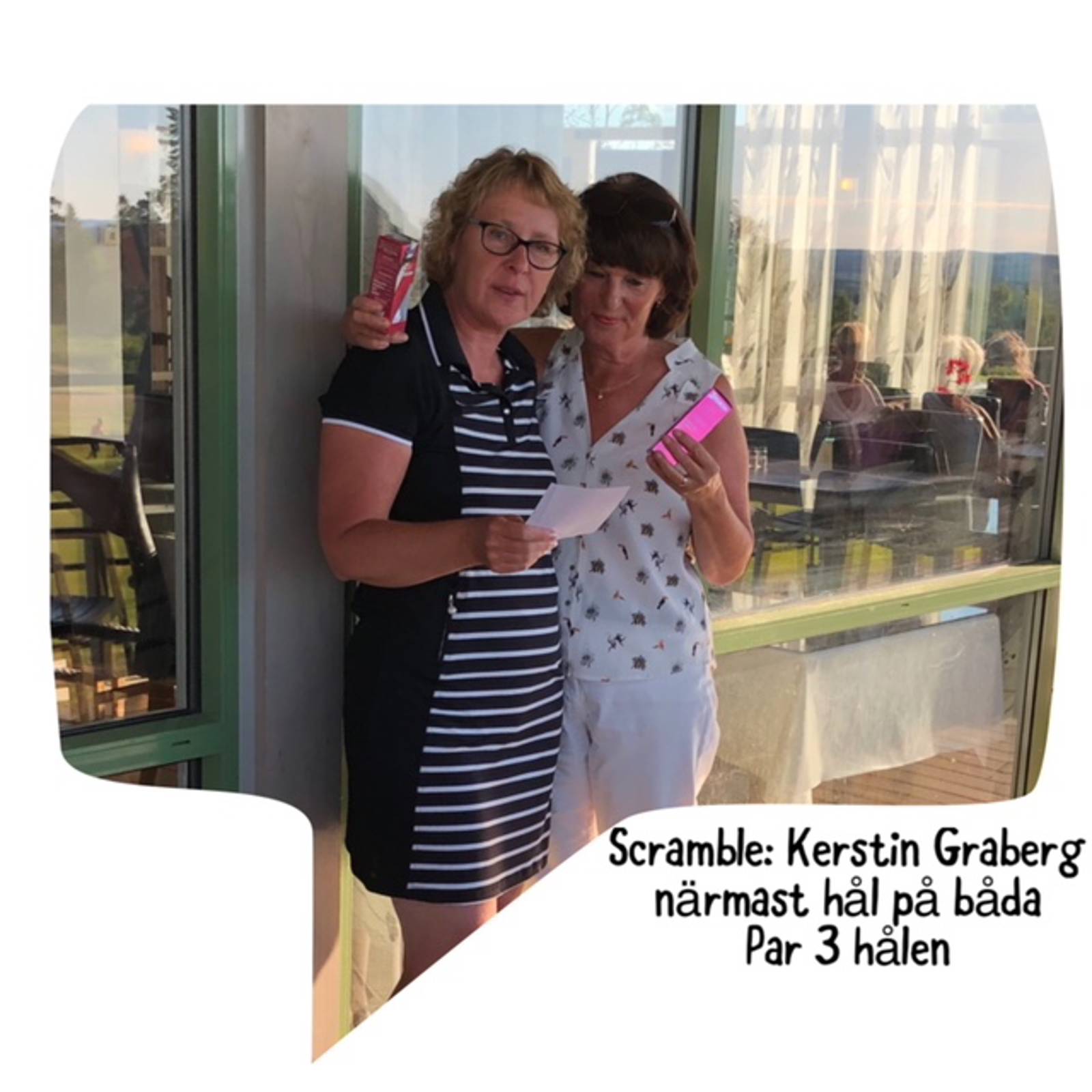 Damerna Bildgalleri 4.jpeg