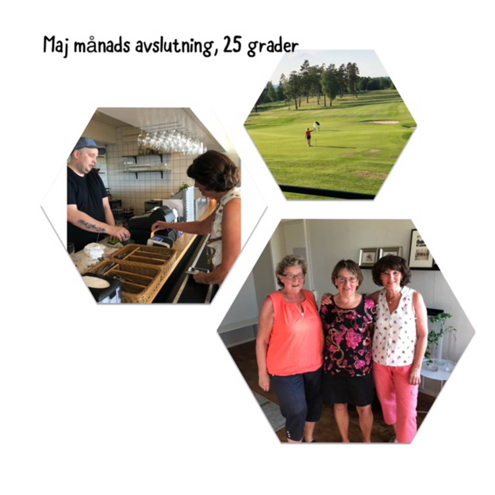 Damerna Bildgalleri.jpeg