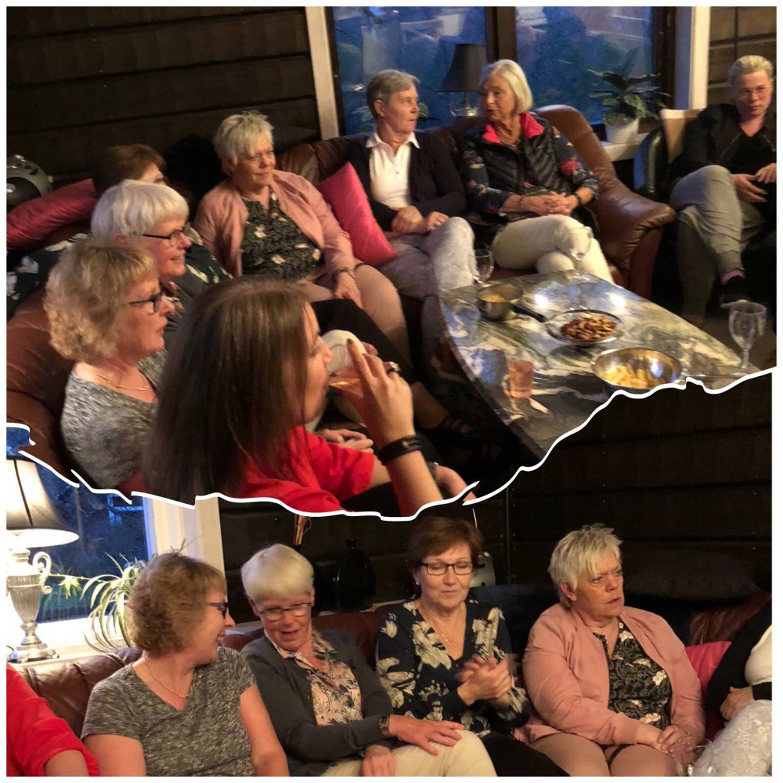 Damerna Bildgalleri.jpg