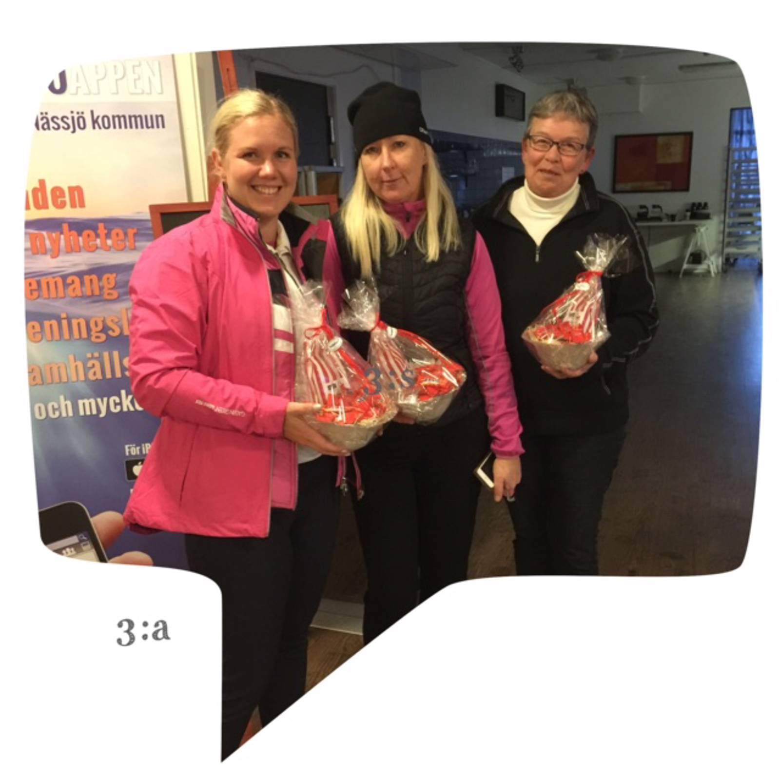 Damerna Bildgalleri 1988.jpg